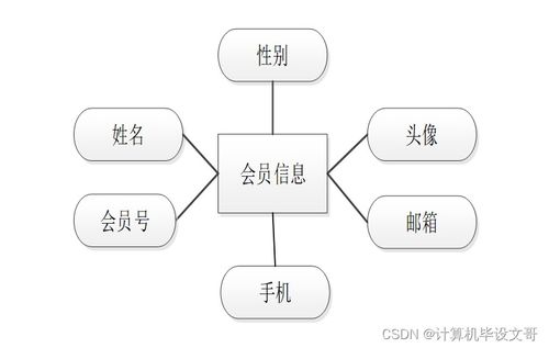 SSM框架下的全國汽車銷售信息查詢系統設計與實現 從新手到開發與銷售實踐指南
